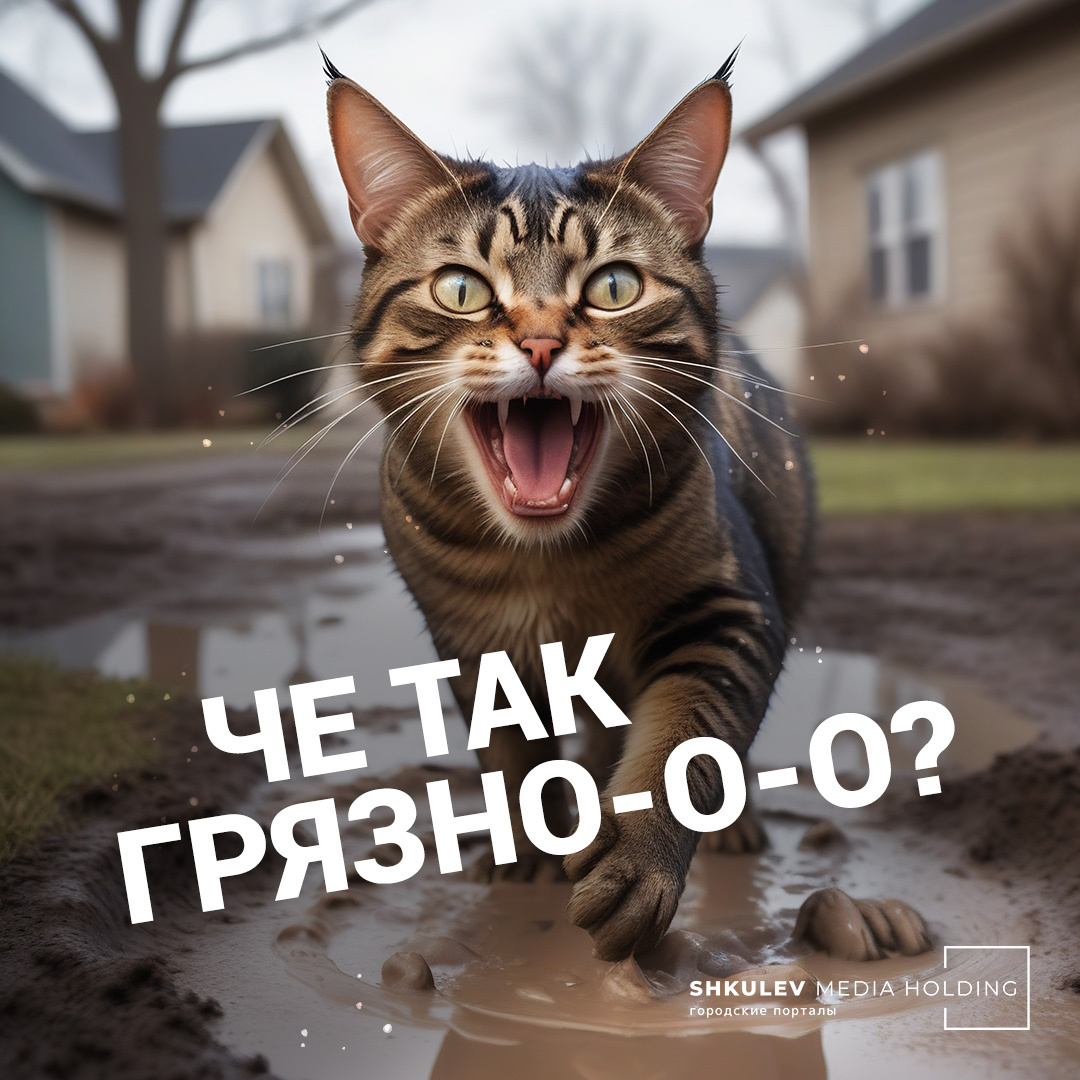 О чем орут <b>мартовские</b> <b>коты</b> в Волгограде? 