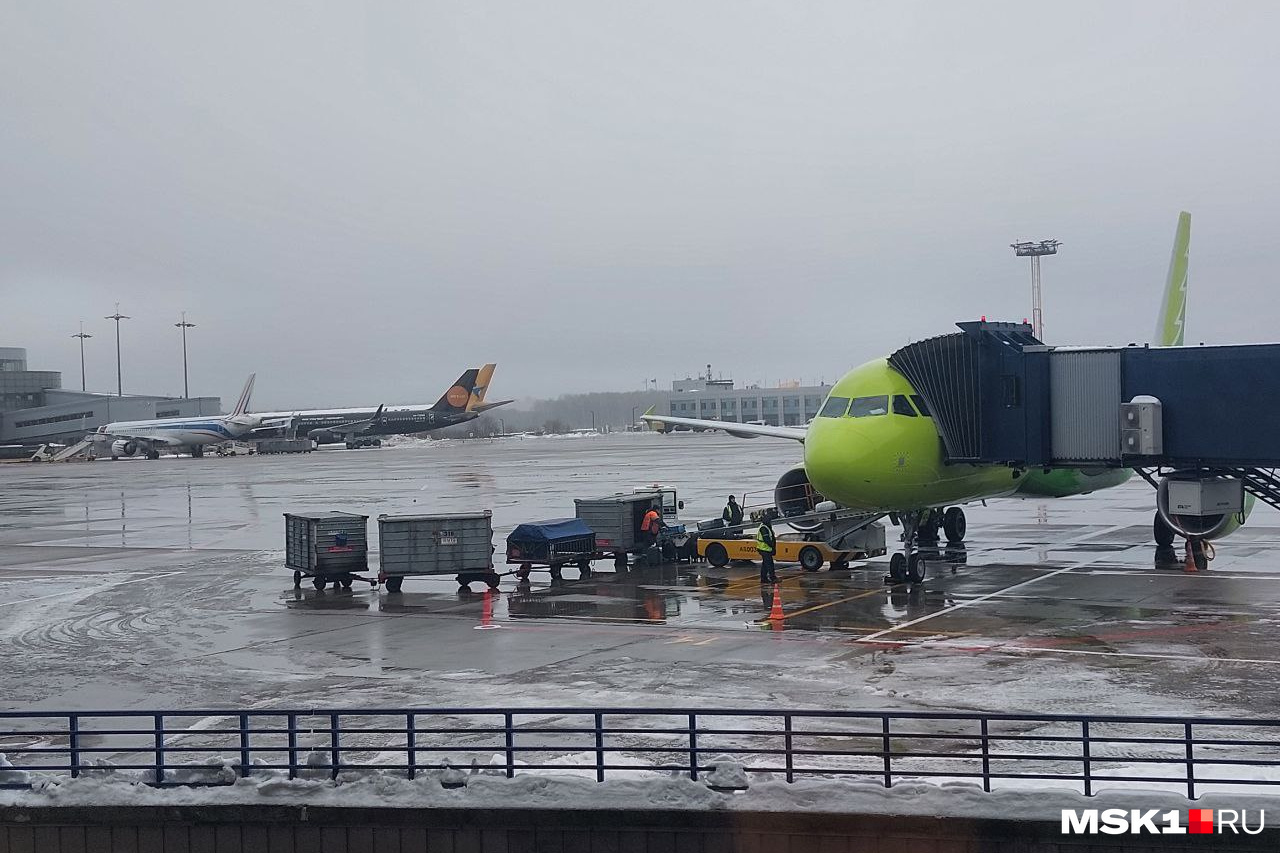 В Москве ввели план «Ковер»: столичные аэропорты закрывали, самолеты  перенаправили в другие, как выглядит Внуково, фото - 19 декабря 2023 - НГС
