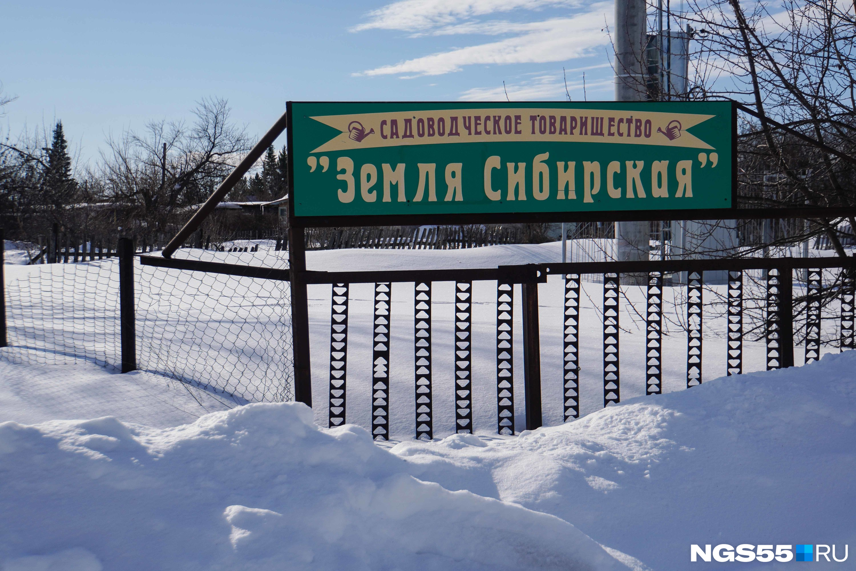 Просьба вынести мертвых косуль на центральную аллею». Почему в России массово гибнут животные и их никто не спасает | 07.03.2024 | Ярославль - БезФормата