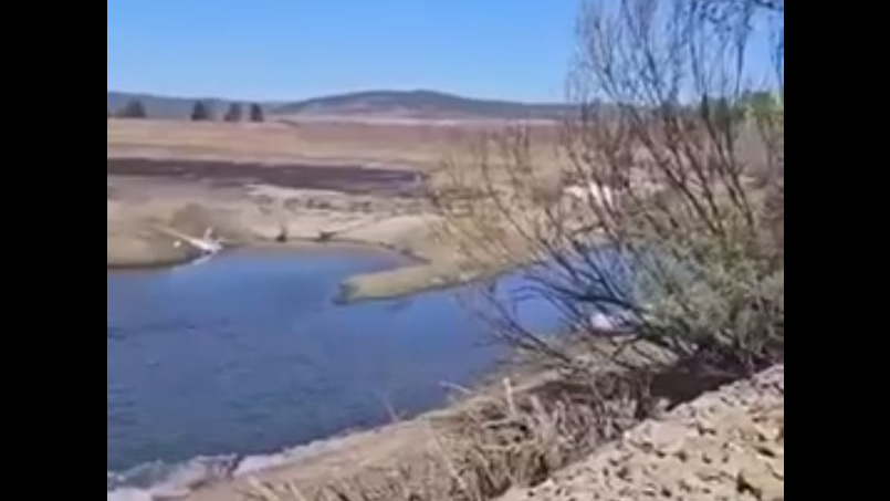 Озеро в селе Забайкалья почти полностью исчезло из-за работы предпринимателя
