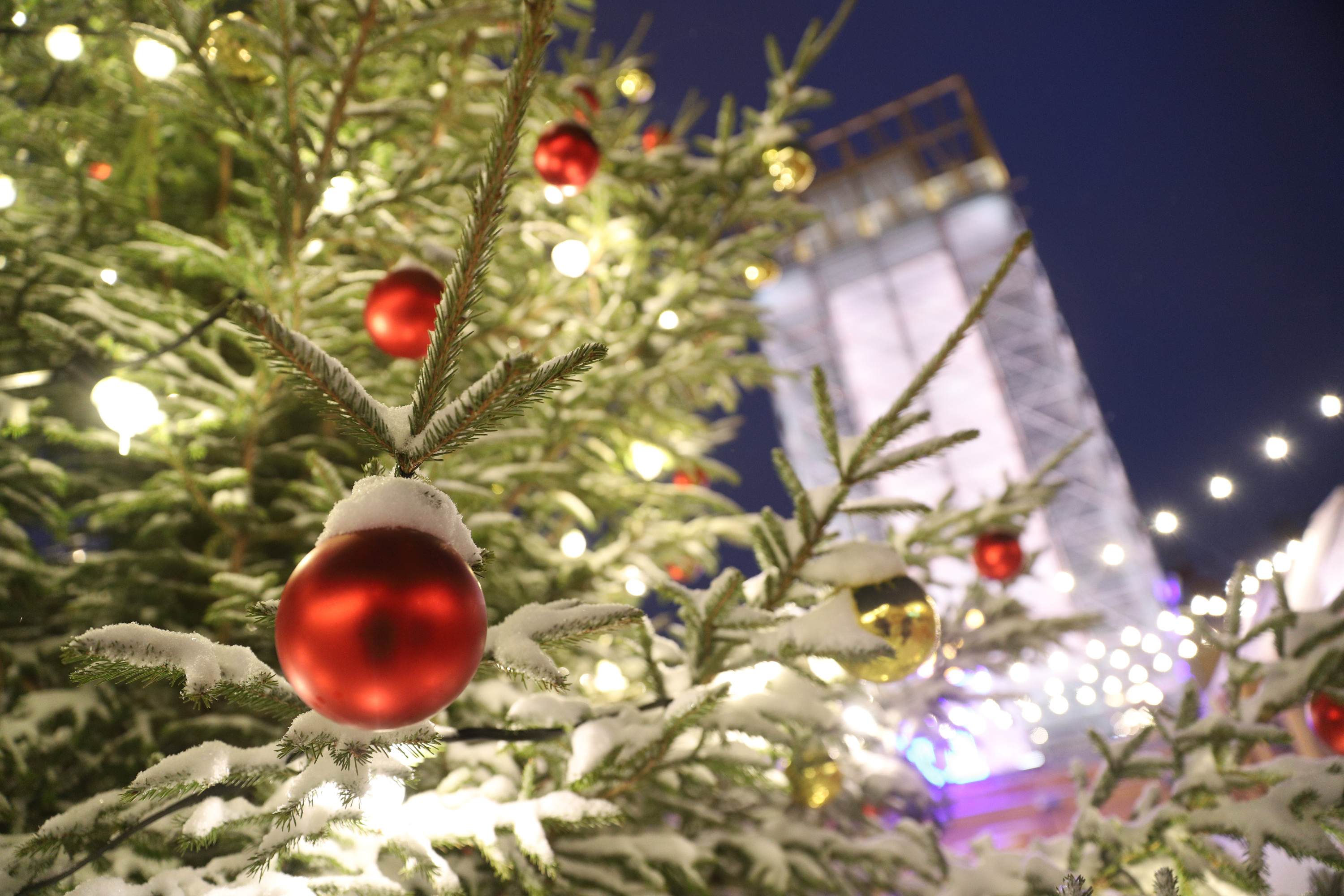 Как превратить елку в новогоднее чудо?