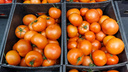 «Когда кончится этот беспредел?»: в Волгограде и области резко взлетели цены на помидоры
