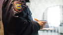 Ударила и плюнула в лицо: сибирячка оскорбила полицейского в Новосибирской области — как ее наказали