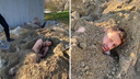 Новосибирца заживо закопали в куче песка в центре города — шокирующее видео
