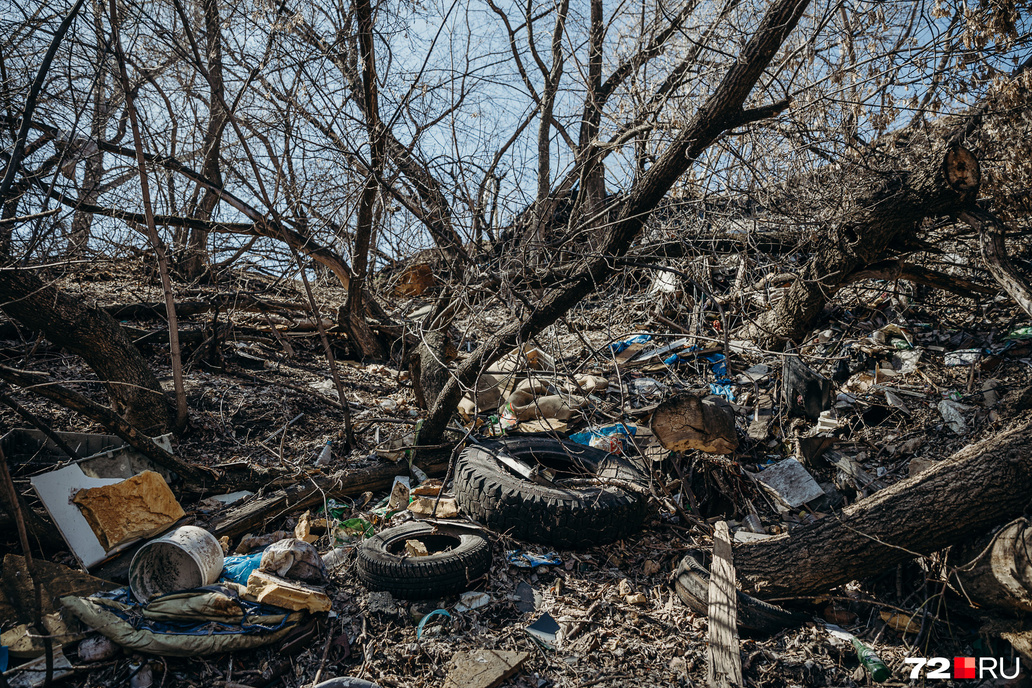 Горы мусора в логу реки Тюменки