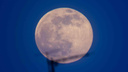 Северяне смогут наблюдать «Голубую Луну»: что это за явление и когда его можно увидеть