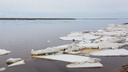 В Архангельске ждут ледоход, а его всё нет: почему сроки постоянно сдвигаются