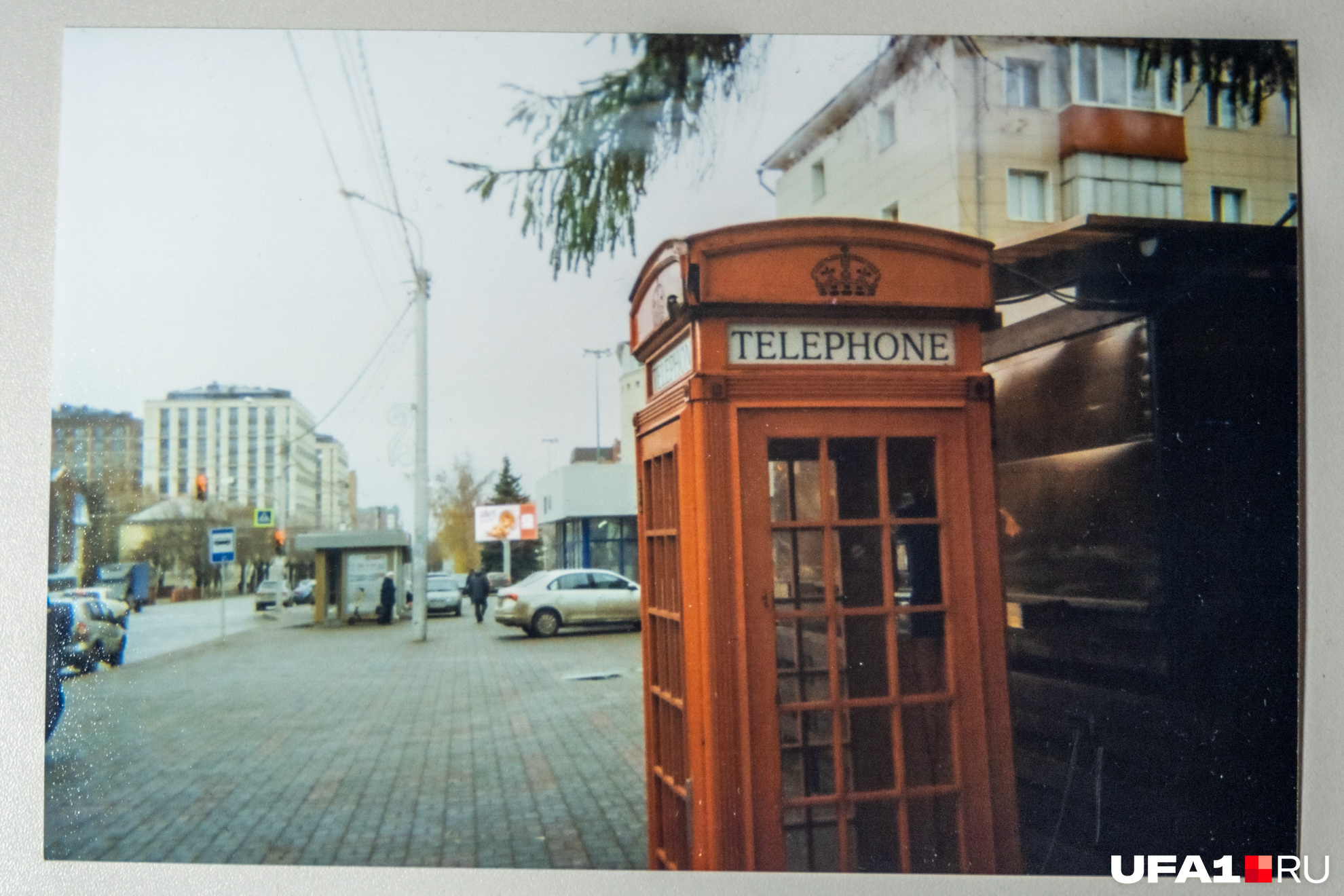 Там на ветке сидел воробушек