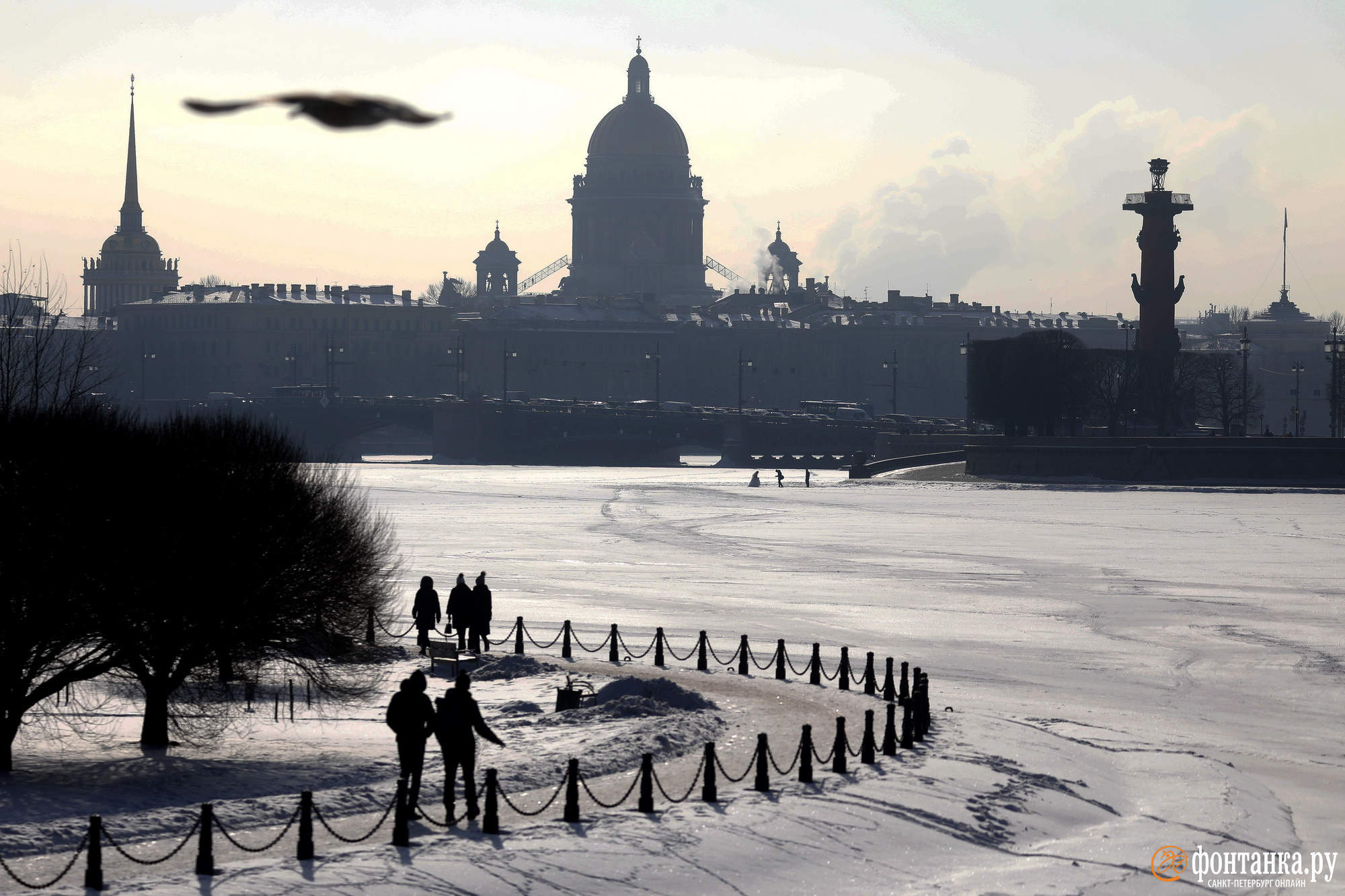 Пережили. Месяц оттепели и пара дней солнца: посмотрите, каким был Петербург этой зимой