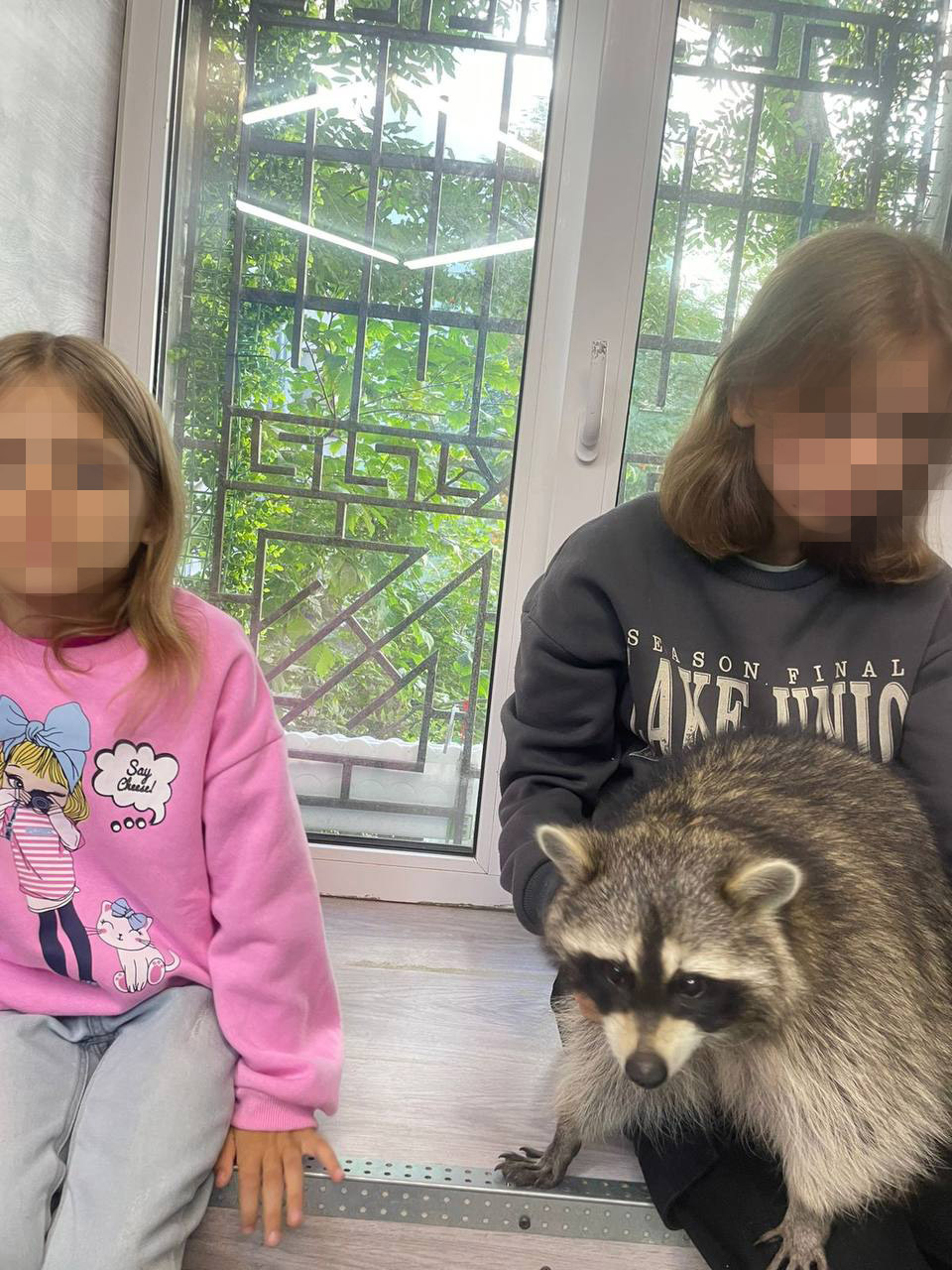Подробности нападения енота на девочку в петербургском контактном зоопарке