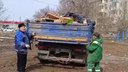 «Дядя, вы попали»: в Волгограде УК вывалила целый грузовик мусора посреди двора — видео