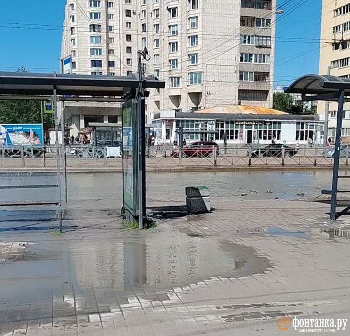 «Море» у автобусной остановки. На Васильевском острове проводят гидравлические испытания