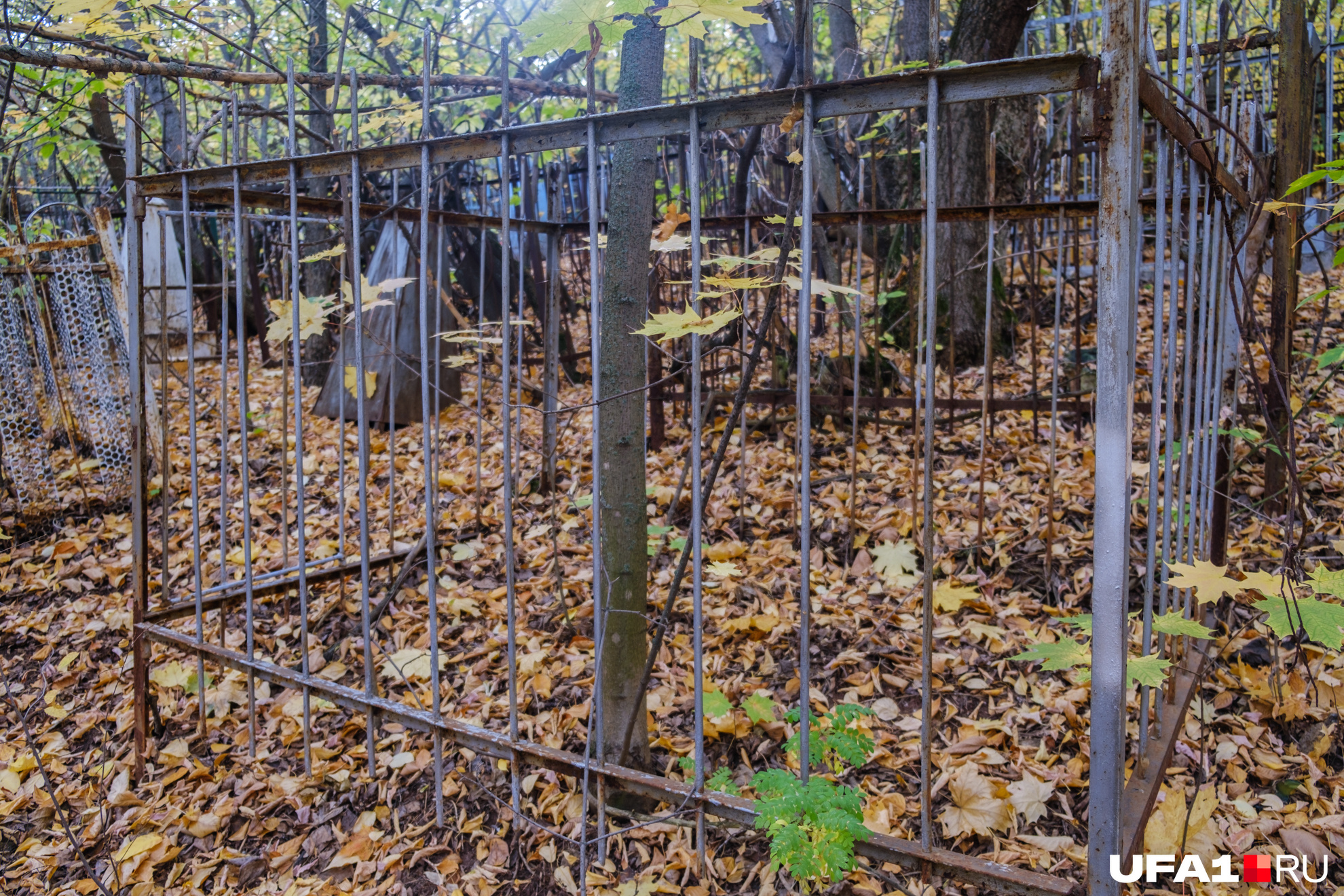 Ни памятника, ни таблички