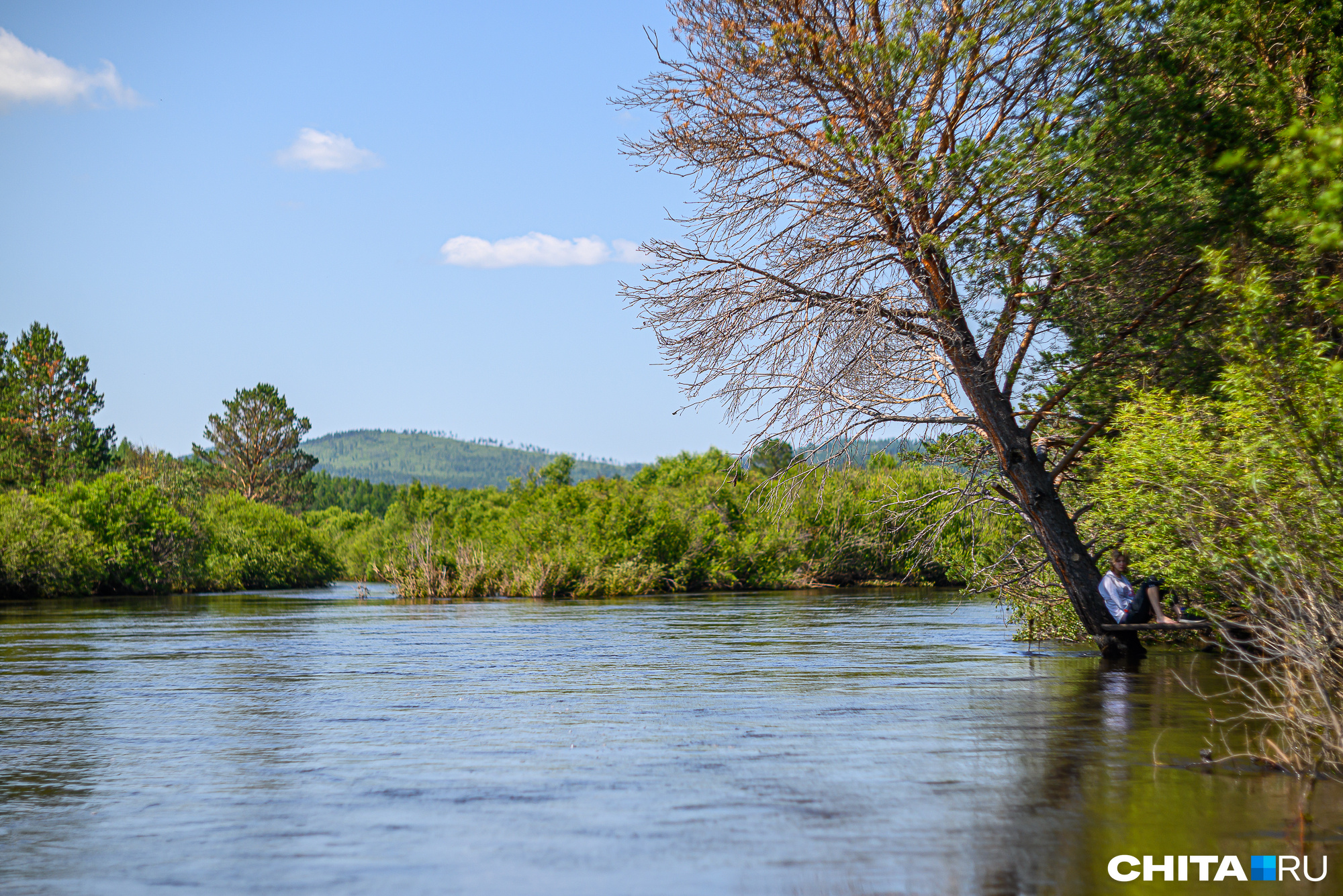Река Хилок в «Тужи» бежит посреди круглых сопок и залитых травой лугов