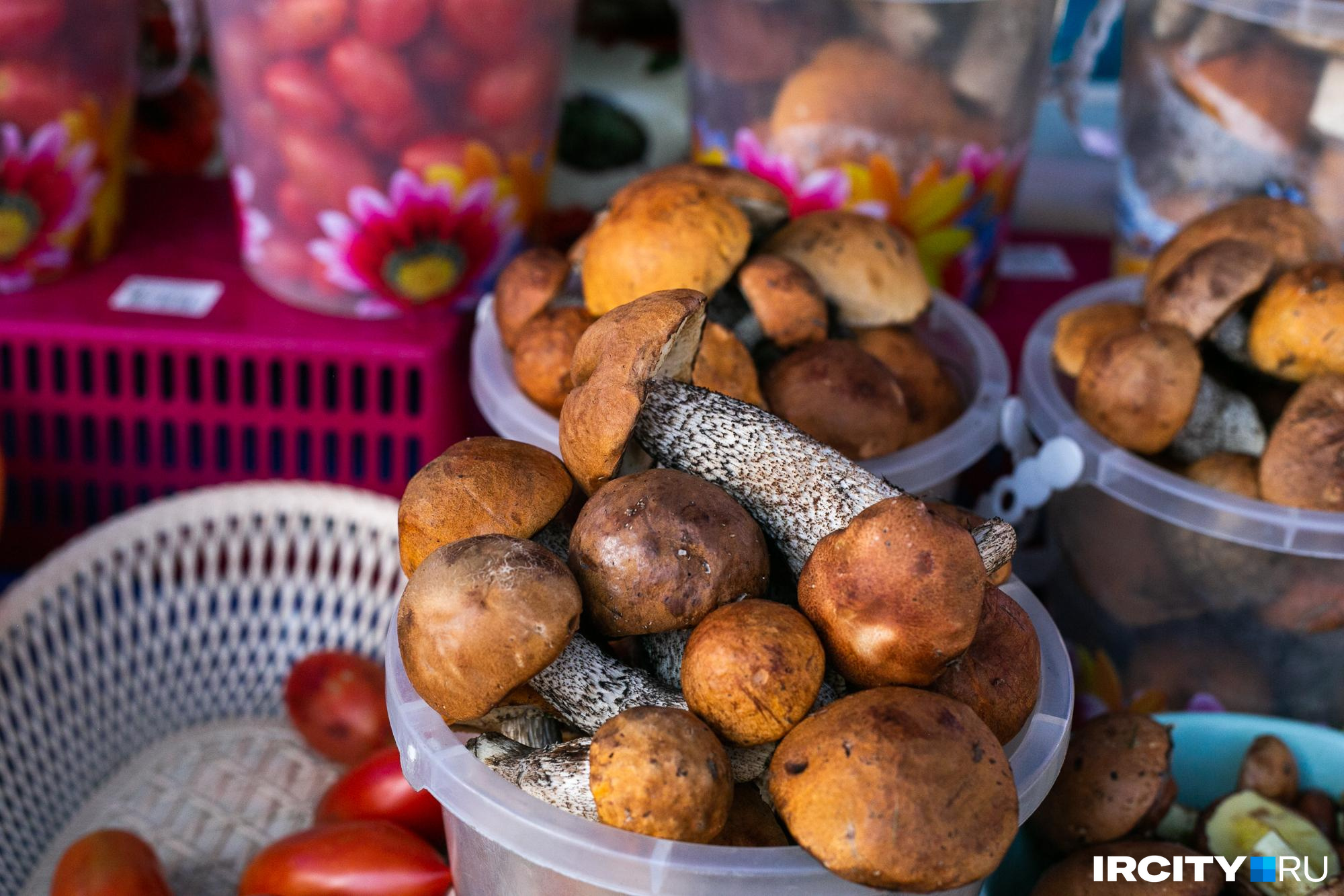 Нам кажется, что все съедобные грибы вкусны и полезны, но есть те, что полезнее остальных