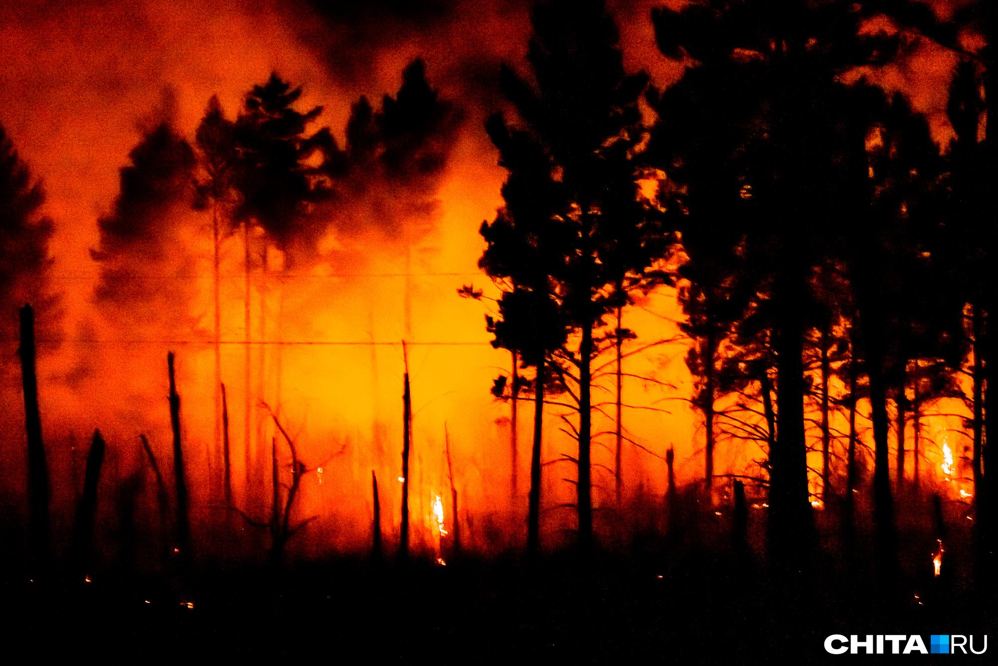 Пожар у границы с Монголией в Забайкалье вырос почти до 5 тысяч гектаров
