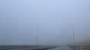Съел стадион и мост через Волгу: Волгоград накрыло густым туманом