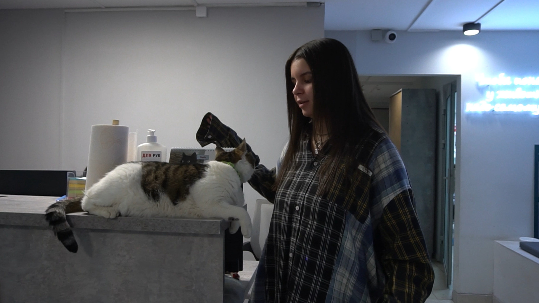 «Животные человечнее людей»: показываем фильм о тюменке, которая помогает брошенным кошкам и собакам
