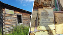 «Лежали на земле, среди мусора»: сибиряк нашел архивы лесоповала Сиблага — их оставили в заброшенном доме