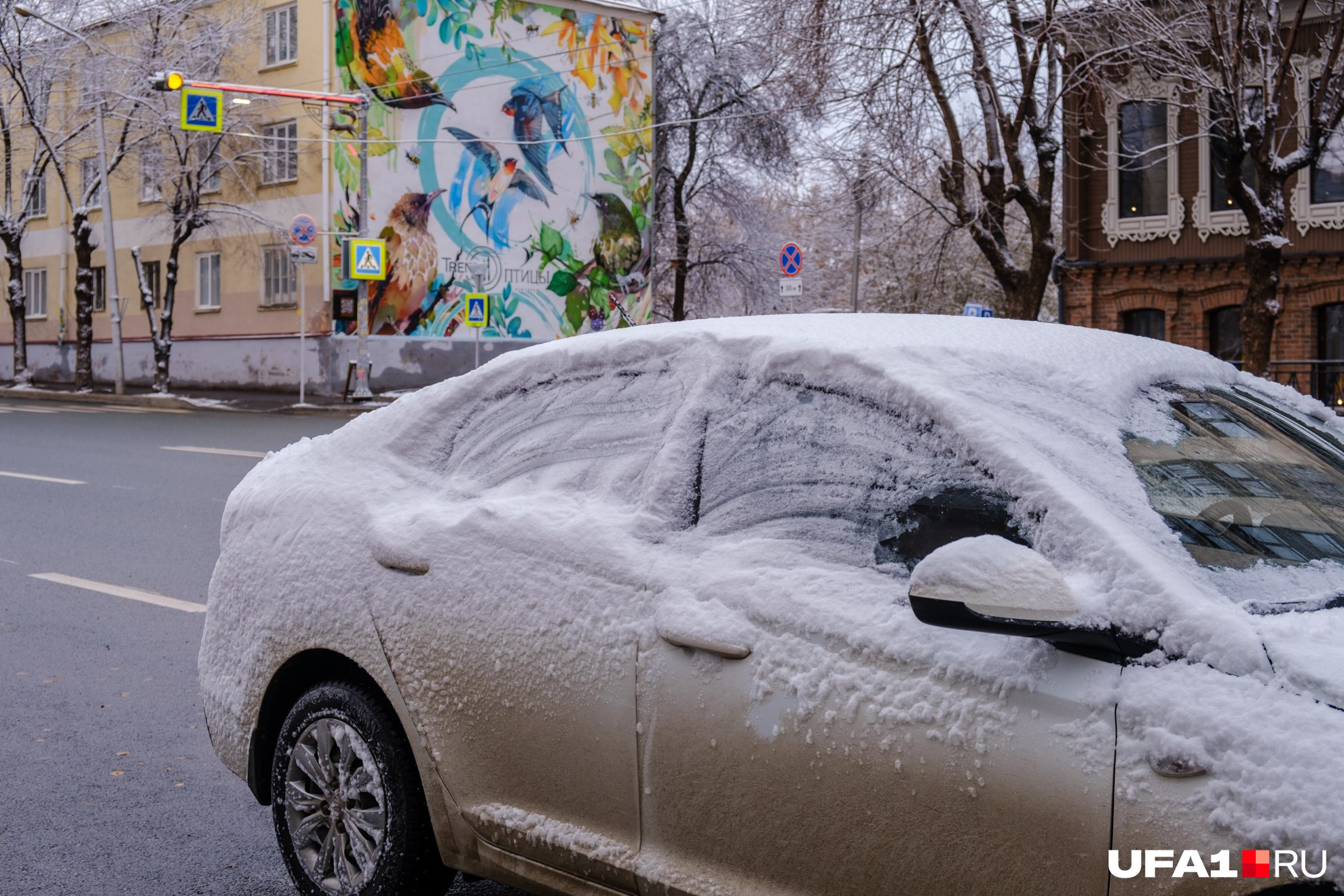 Утро автовладельцев началось с щеточки