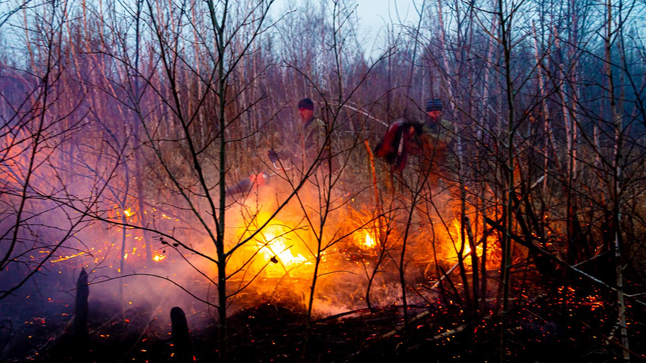 «Видимость до 50 метров». Лес горит рядом с трассой «Амур» в Забайкалье