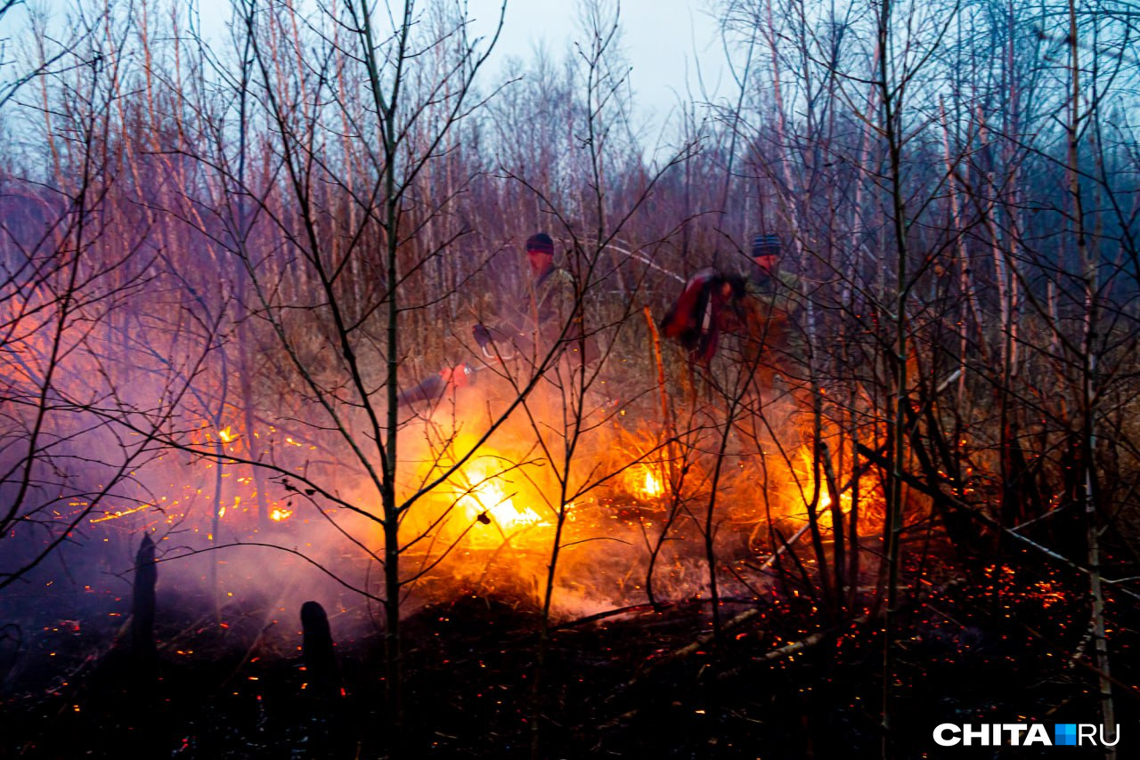 Лес горит рядом с трассой «Амур» в Забайкалье