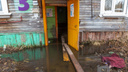 В кривой подъезд заходят по доске: блогер показал, как много воды в Цигломени