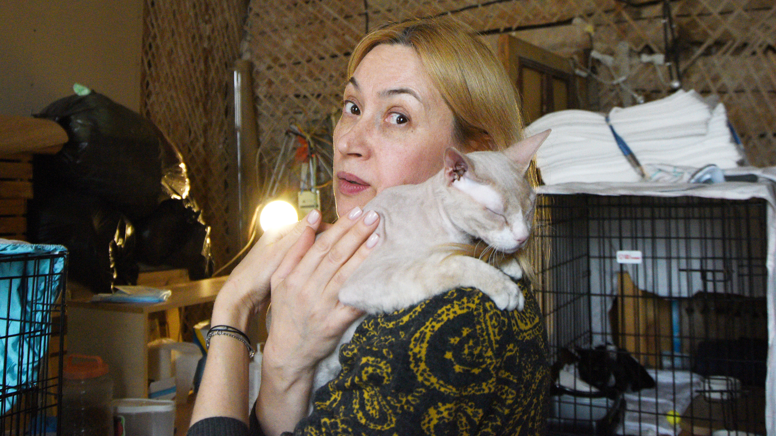 «Многие считают, что кошкам не место в чистом дворе»: курганский волонтёр о том, как правильно спасать животных