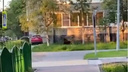 В Оленегорске засняли бегущего медведя под окнами многоэтажки