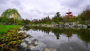 «Есть два пути»: как попасть в новый Японский сад краснодарского Парка Галицкого