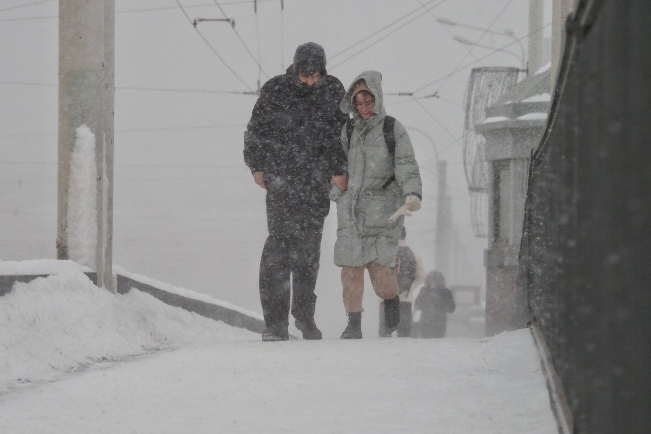 Заметённый Петербург: люди прячутся от ветра, на пригородных трассах едва не сдувает машины