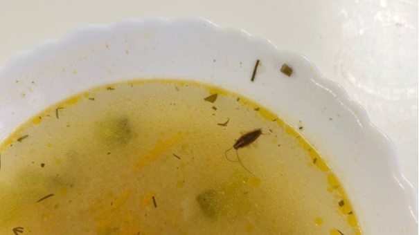 В школе под Воронежем ученики нашли таракана в тарелке супа