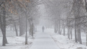«Холод пока не отходит»: в Новосибирске ожидается температура в -11 градусов и снег