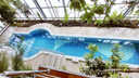 На берегу Оби продают роскошный дом с 14-метровым бассейном и каминным залом — фото из дорогого коттеджа
