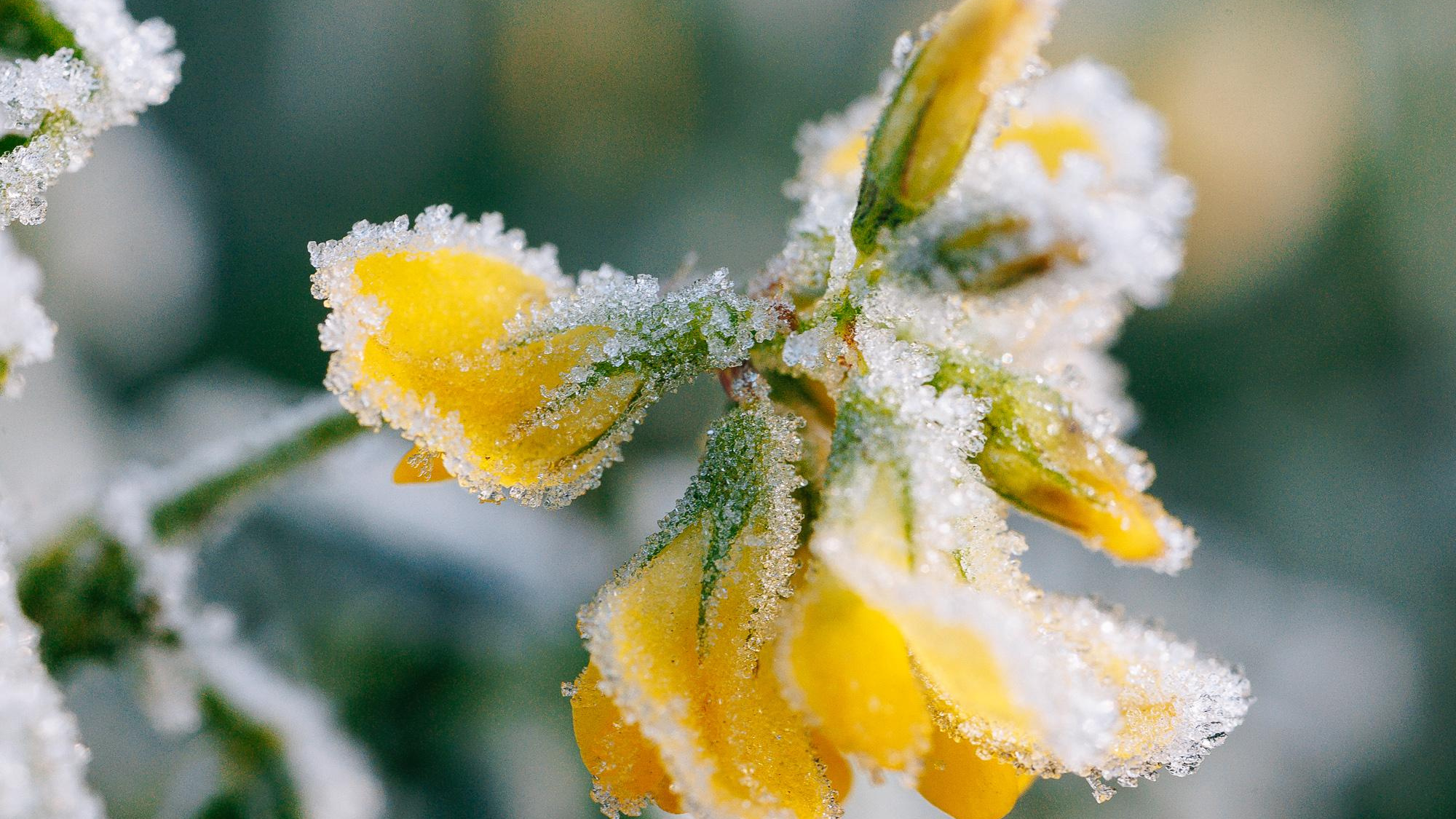 А это точно май? Синоптики предрекли Волгограду декабрьские холода на Пасху с морозом до -8 градусов