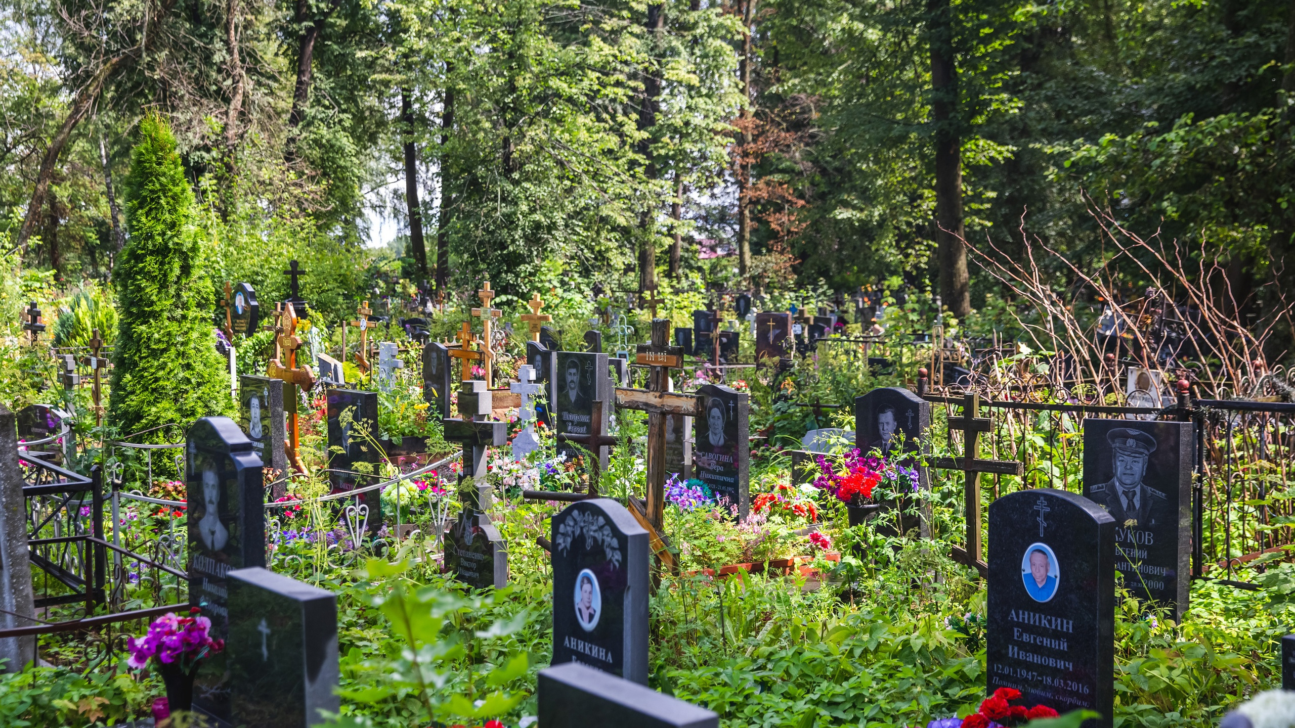 В Ярославле нашли подрядчика для проектирования нового кладбища в Прохоровском