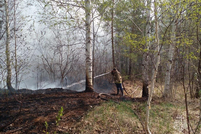 В авиалесоохране рассказали о причинах новых пожаров в Свердловской области
