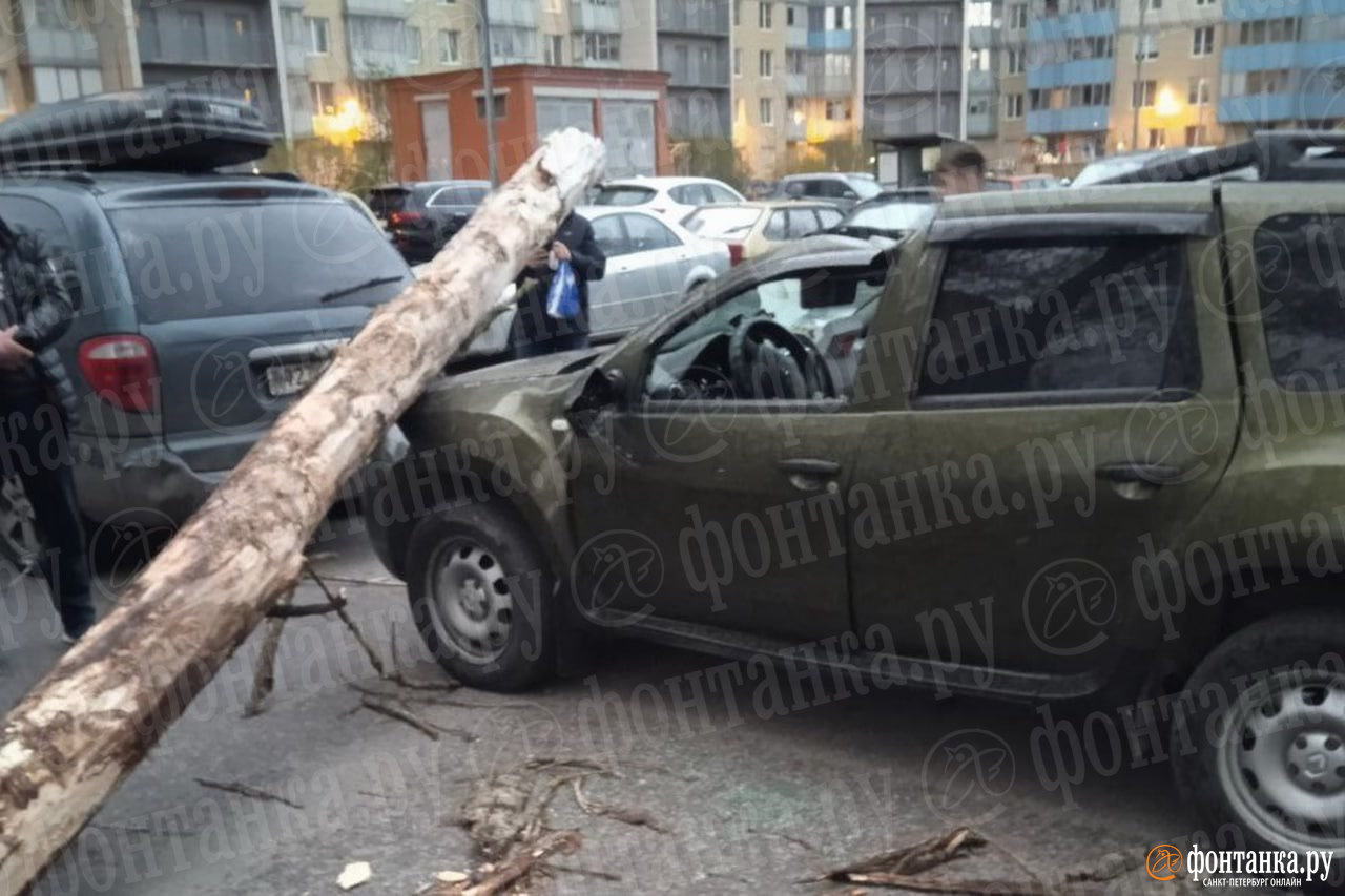 Ветер продолжает «хулиганить». На парковке в Петербурге не повезло владельцам четырёх авто