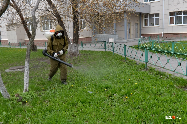 В Екатеринбурге закроют от горожан парки: график