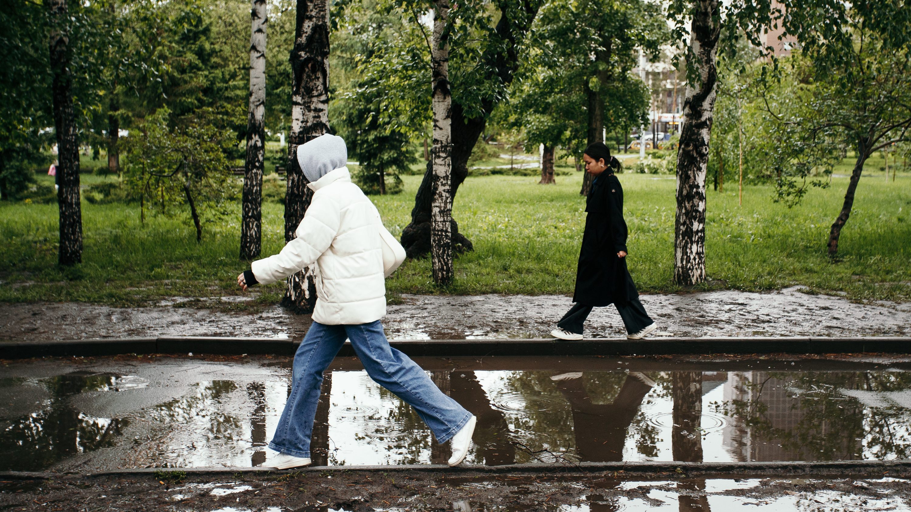 Новосибирское лето начнется с заморозков в -3 градуса