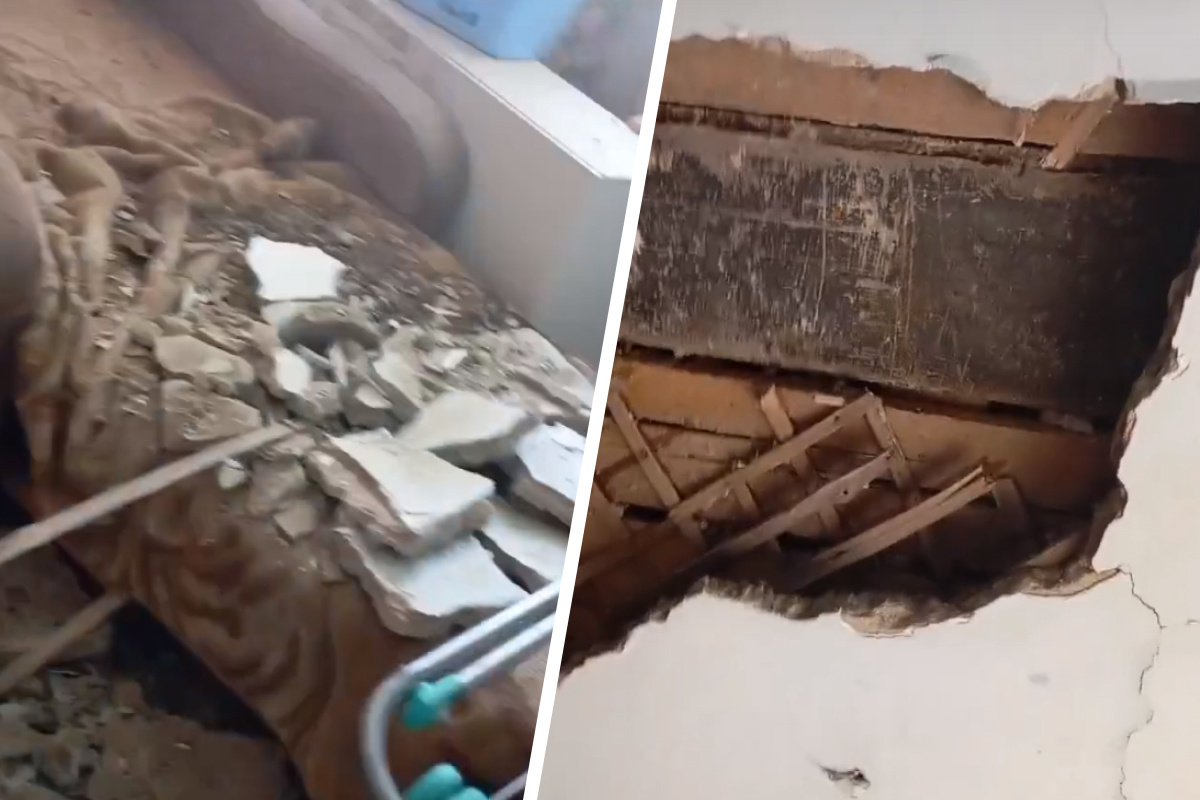 левша и правша. у левшей какое полушарие развито больше. что бывает левым. стенокардия напряжения механизм возникновения. меланизм лев.