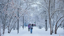 Ниже нормы на 6–8 градусов: потепление до -4 градусов придет в Новосибирск