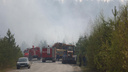 В Курганской области вводят особый противопожарный режим