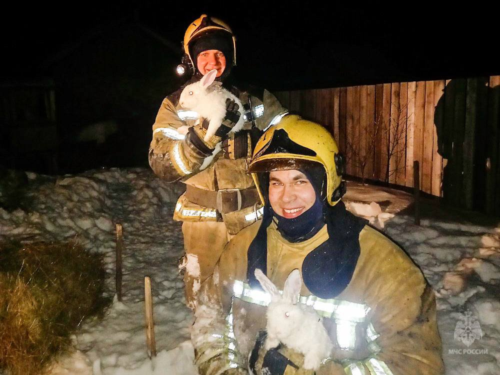Пожарные спасли из огня восемь кроликов под Омском. А потом ловили их по огороду