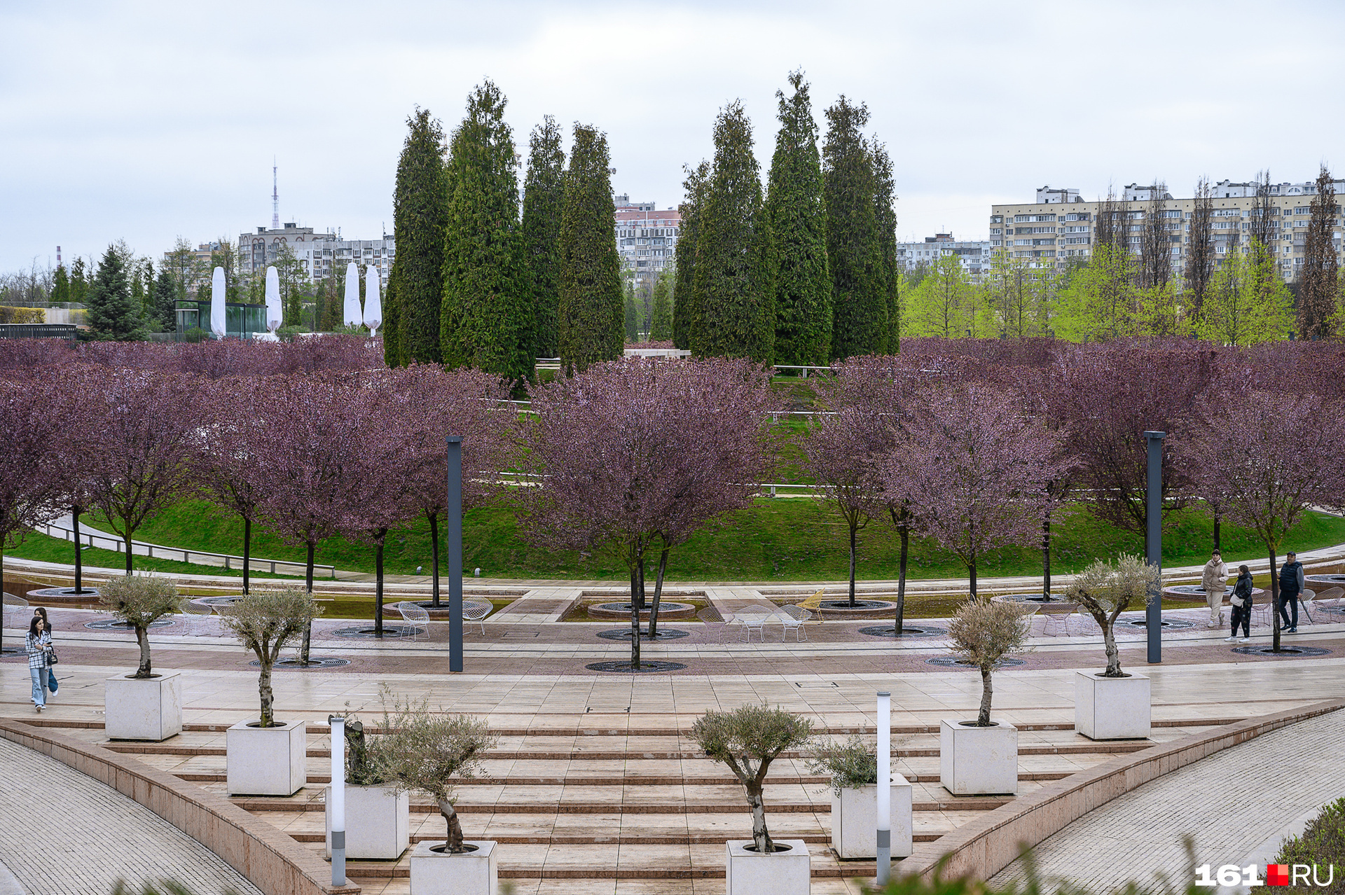фото парка галицкого в краснодаре 2023 летом