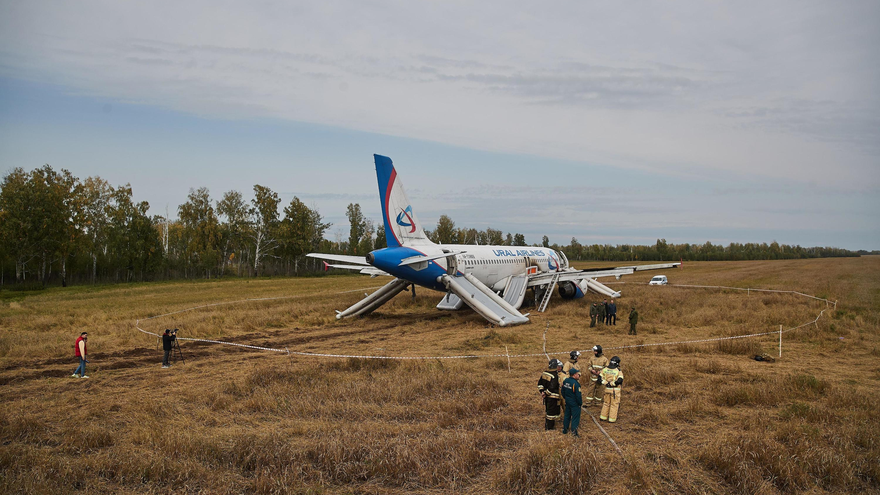 Колхоз договорился с «Уральскими авиалиниями» о компенсации в 200 тысяч за посадку самолета в их пшеницу
