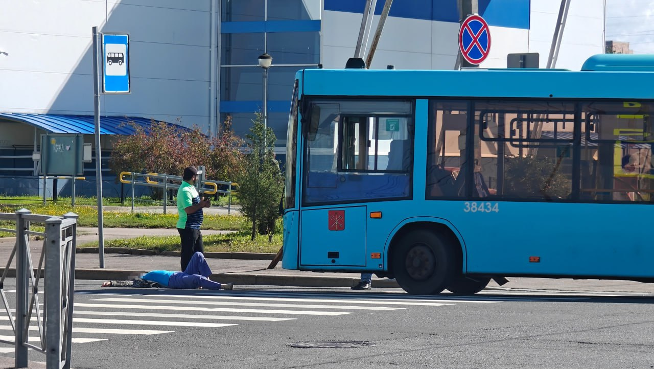 ДТП в Красном Селе: лазурный автобус сбил бабушку, переходившую дорогу на «зеленый». Видео