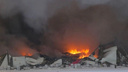 «Можно сказать, всё сгорело»: очевидцы, МЧС и Wildberries рассказали о пожаре на складе под Петербургом