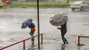 Гроза и порывистый ветер: ярославские спасатели выпустили предупреждение о погоде