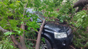 Раздавленные деревьями машины и пробки из-за луж: показываем последствия ночной грозы в Челябинске